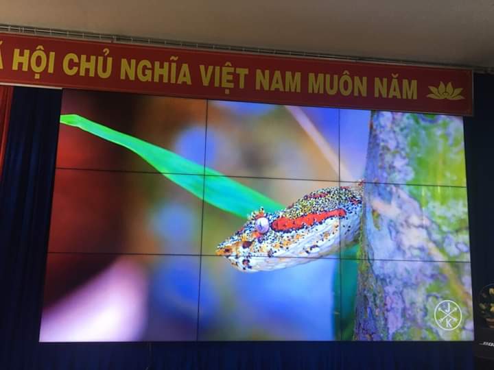 Báo Giá – Baogia.vn